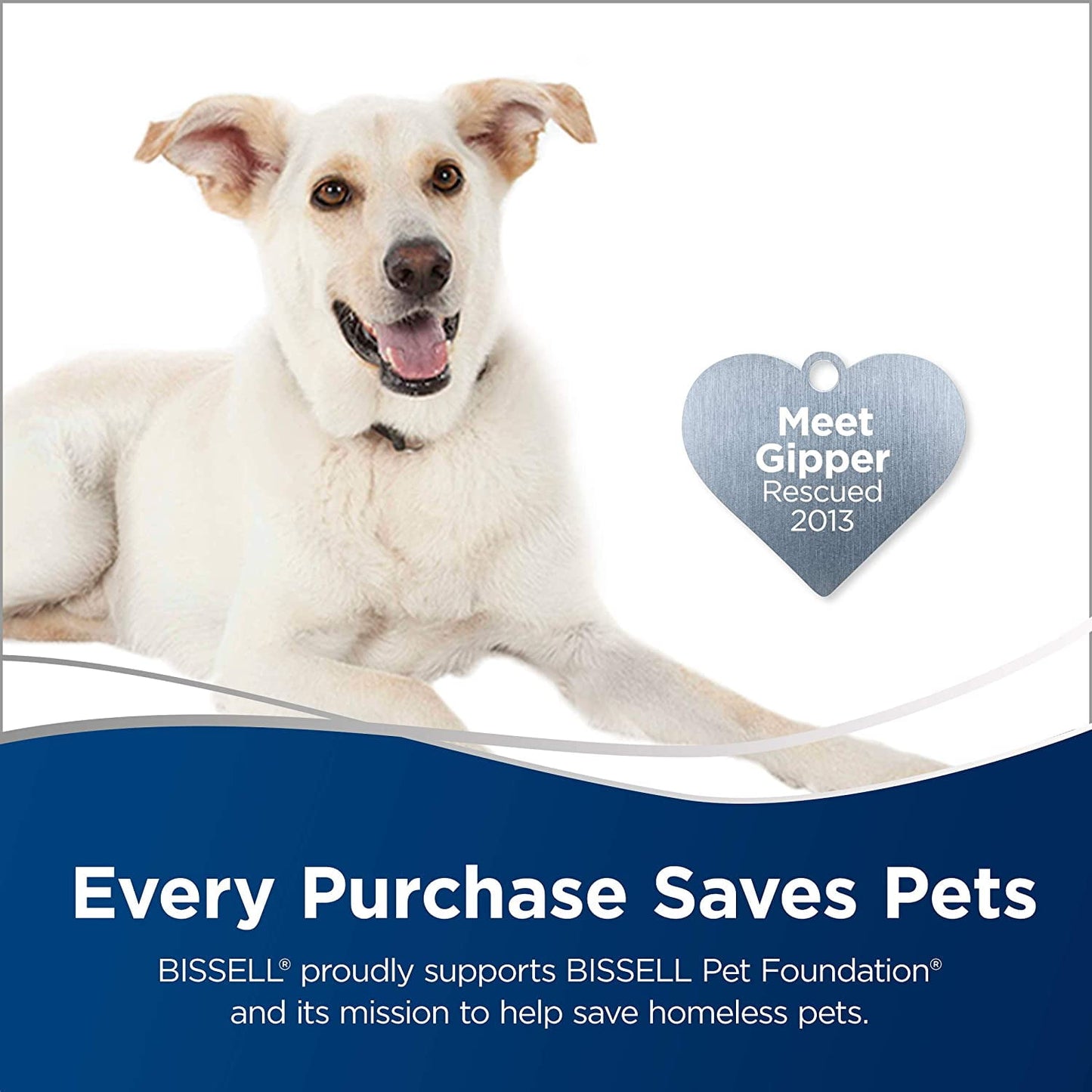 Bissell Powerfresh Scrubbing and Sanitizing Steam Mop