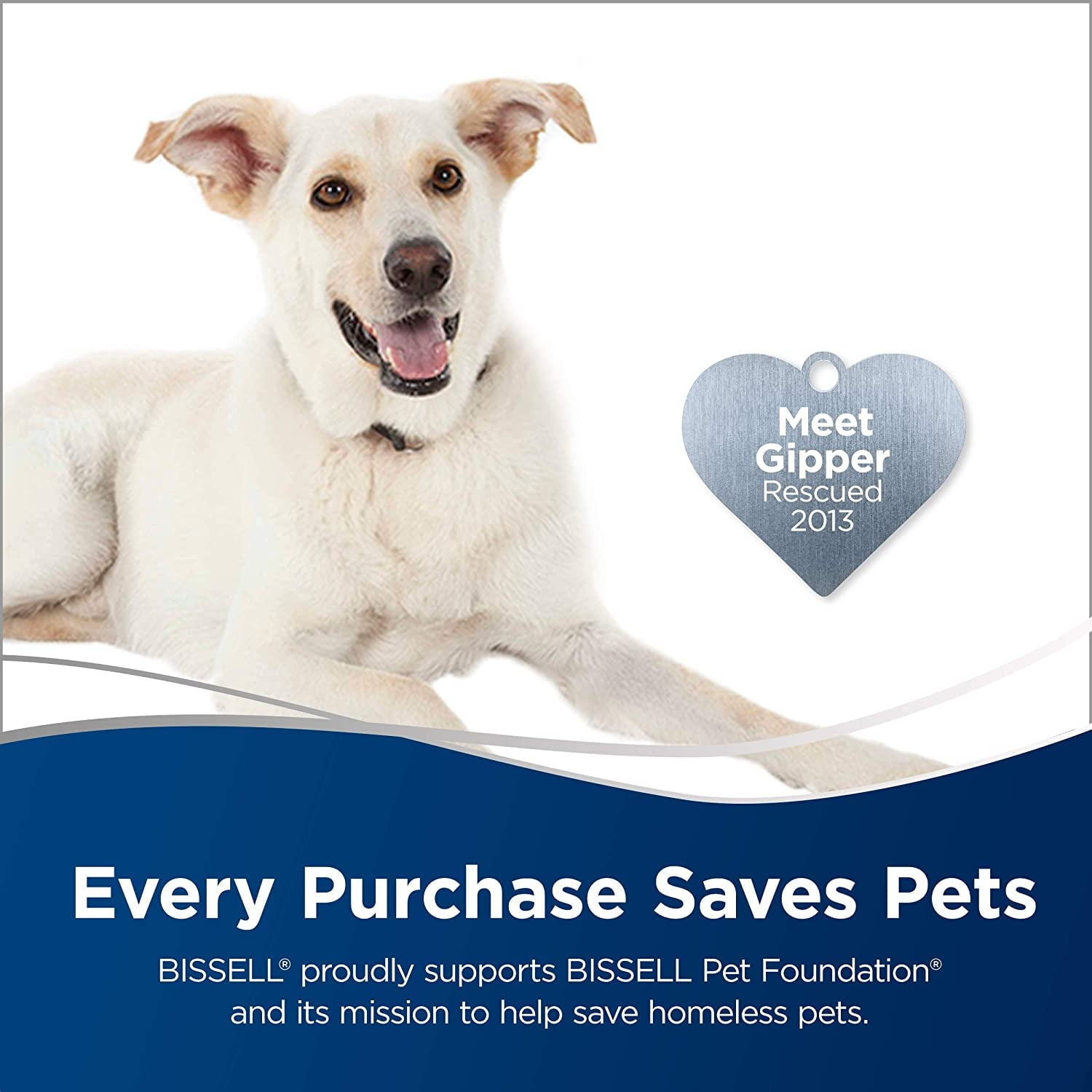 Bissell Powerfresh Scrubbing and Sanitizing Steam Mop