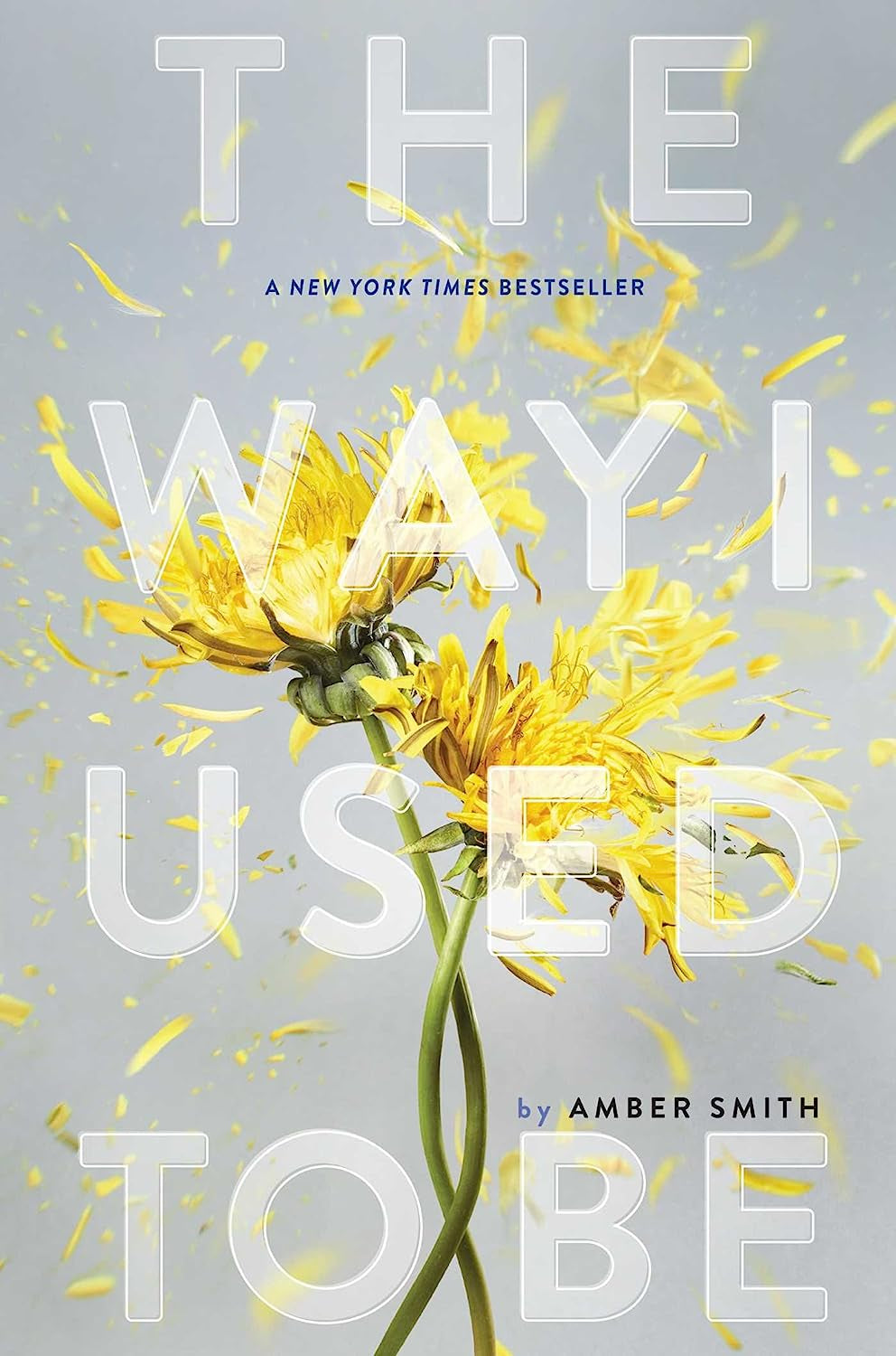 The Way I Used to Be - Amber Smith - Hardcover