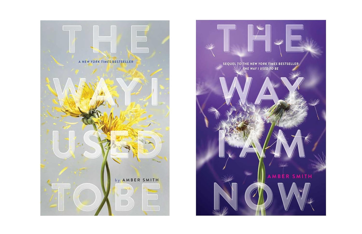 The Way I Used to Be - Amber Smith - Hardcover