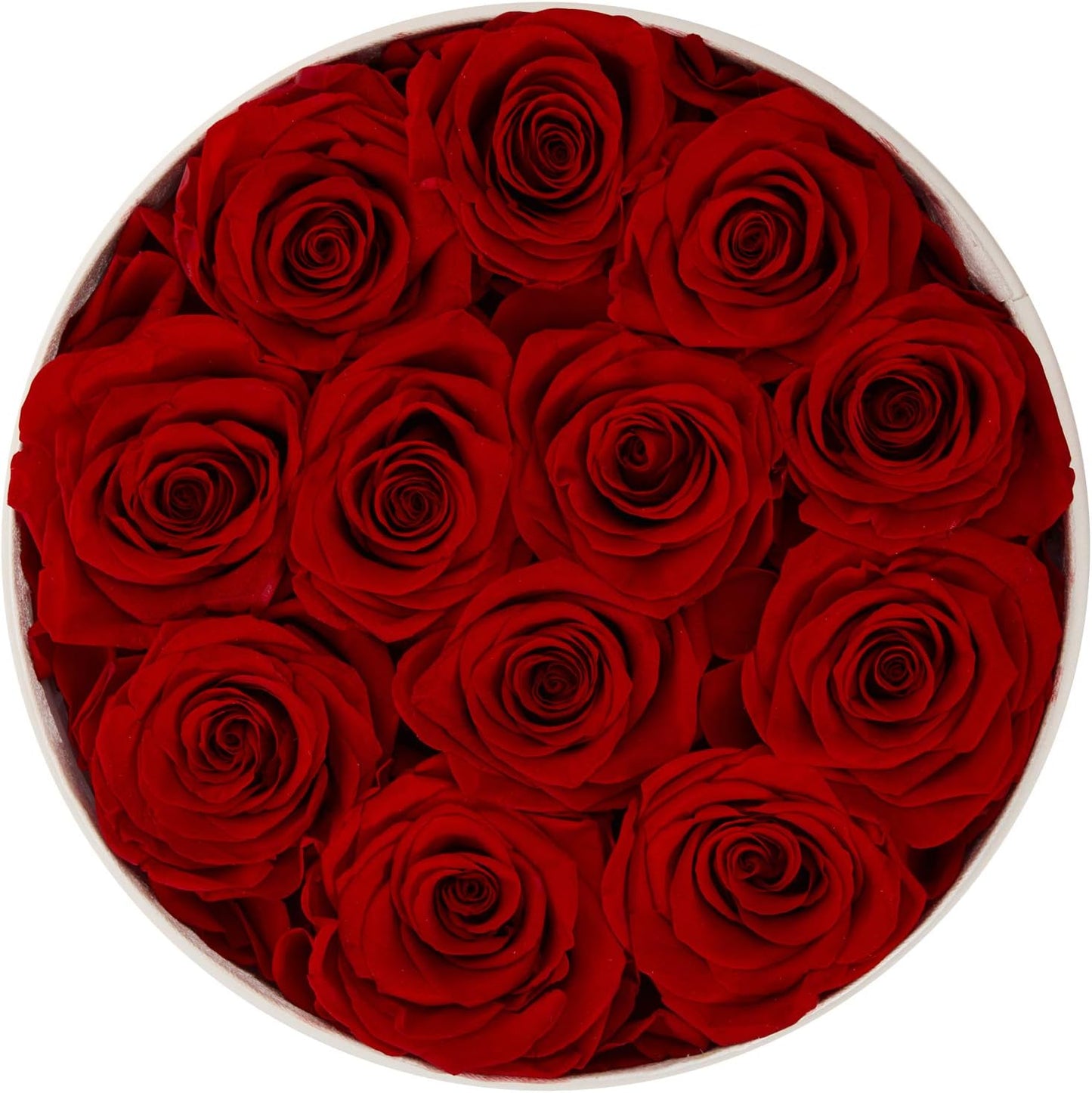 Mother's Day Preserved Roses