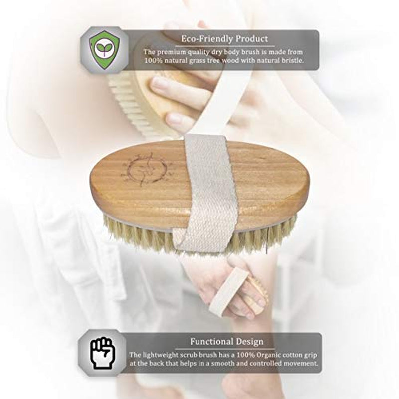 Wet and Dry Body Brush Exfoliator - Medium Soft Natural Bristle - Exfoliates Dead Skin - Slows Aging - Reduces Cellulite - Stimulates Lymph and Blood Flow and Increases Energy