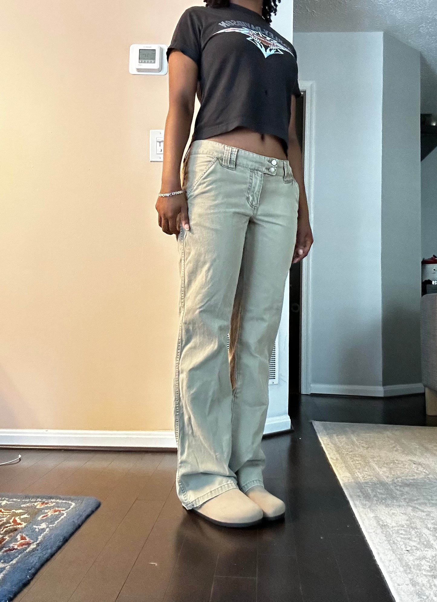 Y2k Lowrise pants